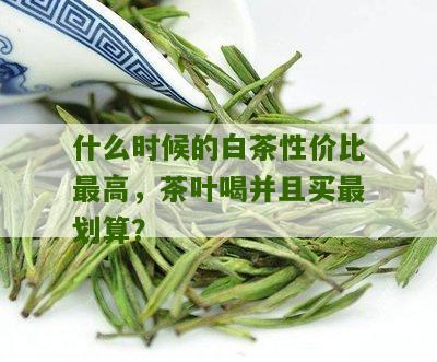 什么时候的白茶性价比最高，茶叶喝并且买最划算？