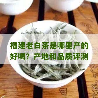 福建老白茶是哪里产的好喝？产地和品质评测