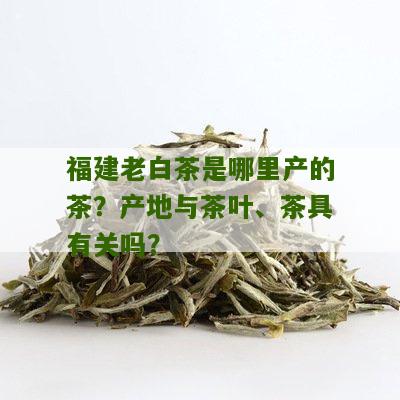 福建老白茶是哪里产的茶？产地与茶叶、茶具有关吗？