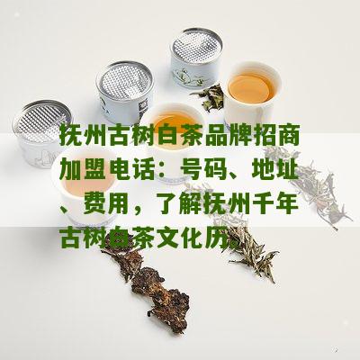 抚州古树白茶品牌招商加盟电话：号码、地址、费用，了解抚州千年古树白茶文化历。