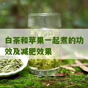 白茶和苹果一起煮的功效及减肥效果