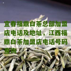 宜春福鼎白茶总部加盟店电话及地址，江西福鼎白茶加盟店电话号码查询