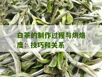 白茶的制作过程与烘焙度：技巧和关系