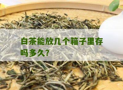 白茶能放几个箱子里存吗多久？