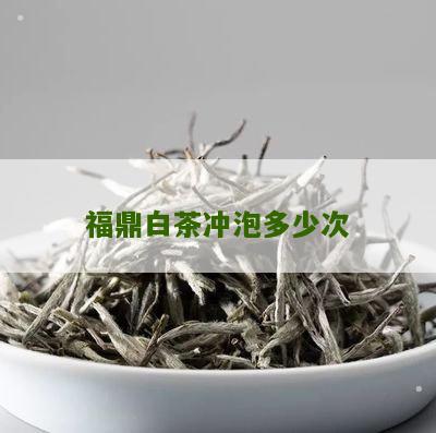 福鼎白茶冲泡多少次