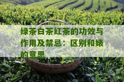 绿茶白茶红茶的功效与作用及禁忌：区别和婊的意思