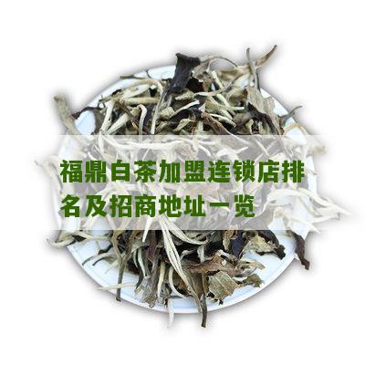 福鼎白茶加盟连锁店排名及招商地址一览