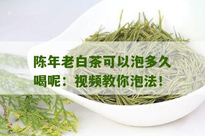 陈年老白茶可以泡多久喝呢：视频教你泡法！