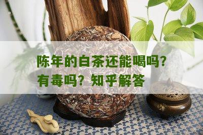 陈年的白茶还能喝吗？有毒吗？知乎解答