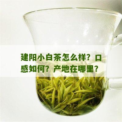 建阳小白茶怎么样？口感如何？产地在哪里？