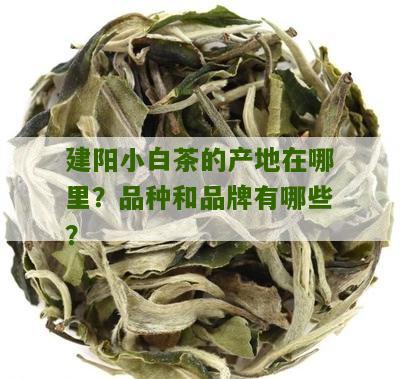 建阳小白茶的产地在哪里？品种和品牌有哪些？