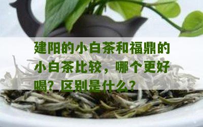 建阳的小白茶和福鼎的小白茶比较，哪个更好喝？区别是什么？