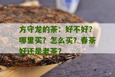 方守龙的茶：好不好？哪里买？怎么买？春茶好还是老茶？