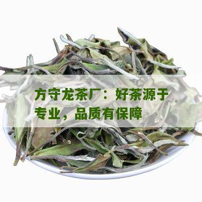 方守龙茶厂：好茶源于专业，品质有保障