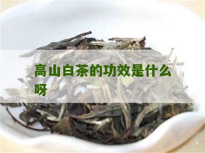 高山白茶的功效是什么呀