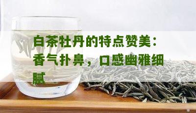 白茶牡丹的特点赞美：香气扑鼻，口感幽雅细腻