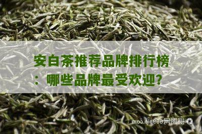 安白茶推荐品牌排行榜：哪些品牌最受欢迎？