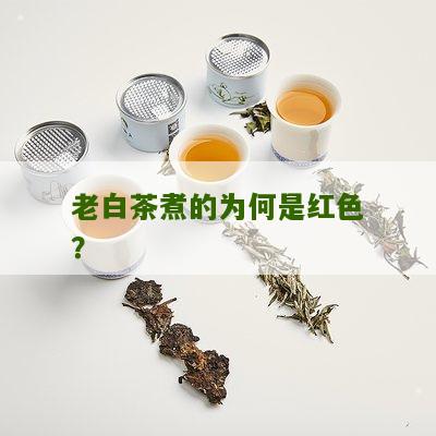 老白茶煮的为何是红色？