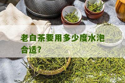 老白茶要用多少度水泡合适？