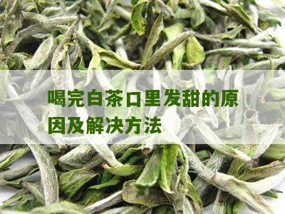 喝完白茶口里发甜的原因及解决方法