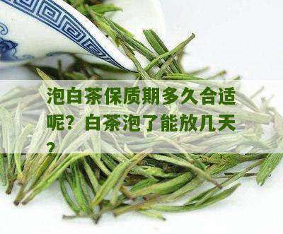 泡白茶保质期多久合适呢？白茶泡了能放几天？