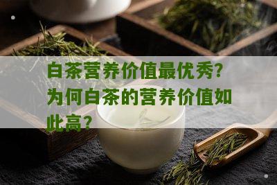 白茶营养价值最优秀？为何白茶的营养价值如此高？