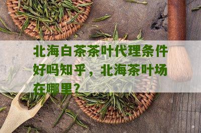 北海白茶茶叶代理条件好吗知乎，北海茶叶场在哪里？