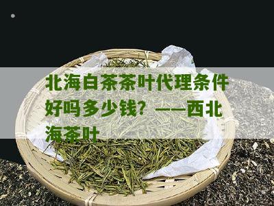 北海白茶茶叶代理条件好吗多少钱？——西北海茶叶