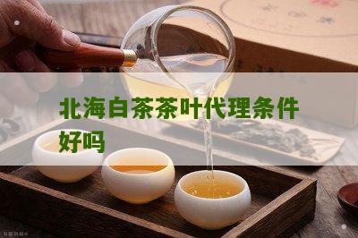 北海白茶茶叶代理条件好吗