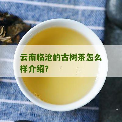 云南临沧的古树茶怎么样介绍？