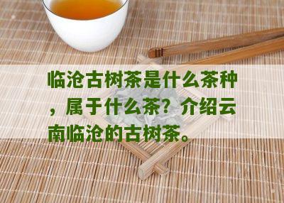 临沧古树茶是什么茶种，属于什么茶？介绍云南临沧的古树茶。