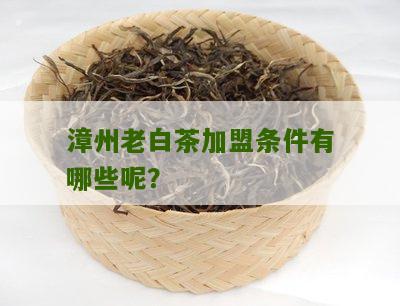 漳州老白茶加盟条件有哪些呢？