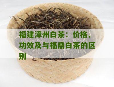 福建漳州白茶：价格、功效及与福鼎白茶的区别