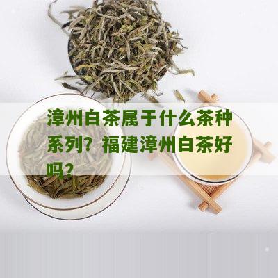 漳州白茶属于什么茶种系列？福建漳州白茶好吗？