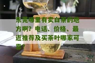 东莞哪里有卖白茶的地方啊？电话、价格、最近推荐及买茶叶哪家可靠？