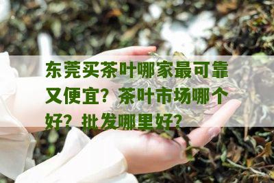 东莞买茶叶哪家最可靠又便宜？茶叶市场哪个好？批发哪里好？