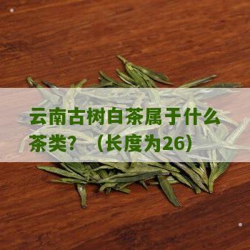 云南古树白茶属于什么茶类？（长度为26）