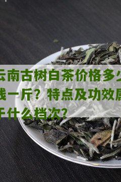 云南古树白茶价格多少钱一斤？特点及功效属于什么档次？