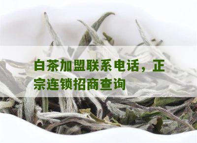 白茶加盟联系电话，正宗连锁招商查询