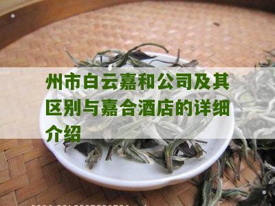 州市白云嘉和公司及其区别与嘉合酒店的详细介绍