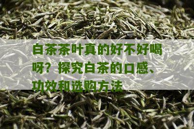 白茶茶叶真的好不好喝呀？探究白茶的口感、功效和选购方法