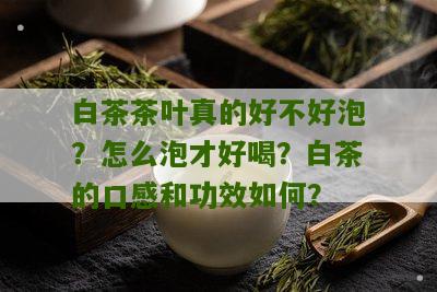 白茶茶叶真的好不好泡？怎么泡才好喝？白茶的口感和功效如何？