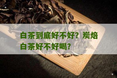 白茶到底好不好？炭焙白茶好不好喝？