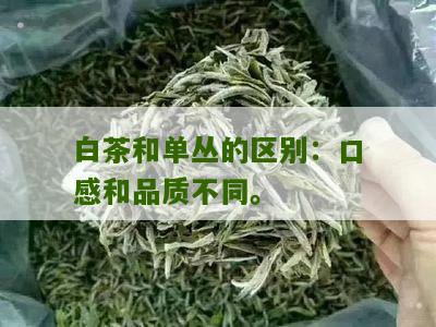 白茶和单丛的区别：口感和品质不同。