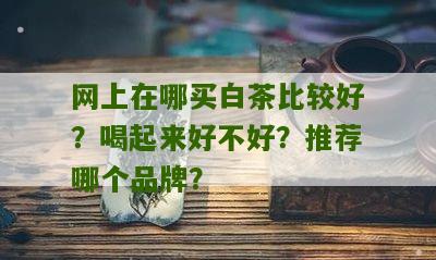 网上在哪买白茶比较好？喝起来好不好？推荐哪个品牌？