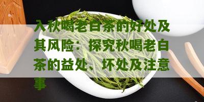 入秋喝老白茶的好处及其风险：探究秋喝老白茶的益处、坏处及注意事