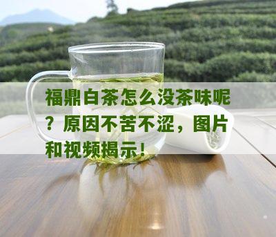 福鼎白茶怎么没茶味呢？原因不苦不涩，图片和视频揭示！