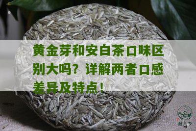 黄金芽和安白茶口味区别大吗？详解两者口感差异及特点！