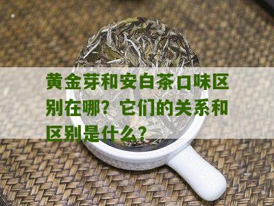 黄金芽和安白茶口味区别在哪？它们的关系和区别是什么？