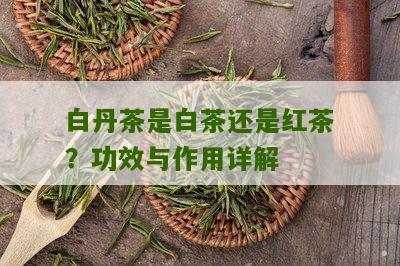 白丹茶是白茶还是红茶？功效与作用详解